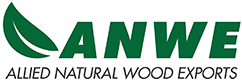 ANWE_Logo