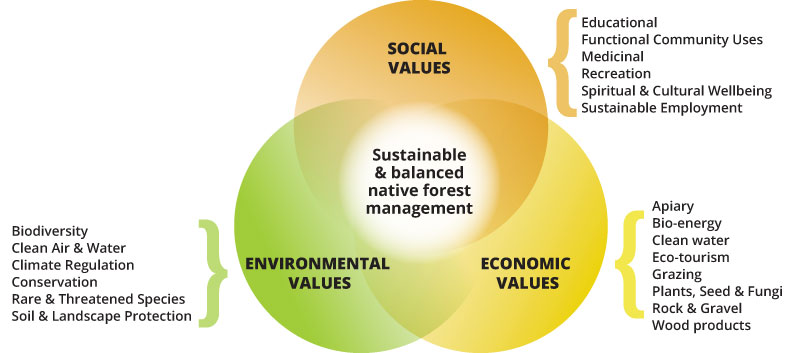 timber-a-renewable-resource-timber-nsw