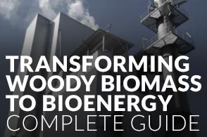 Transforming Woody Biomass To Bioenergy