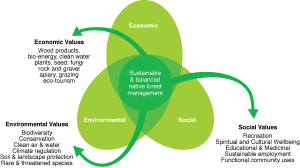 Beyond-Tenure-Figure-1