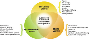 TNSW_tenure_figure1